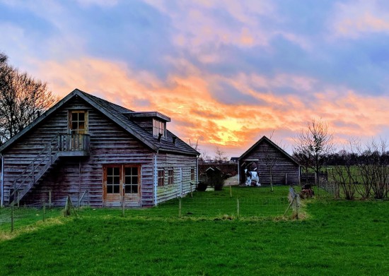 Kinderboerderij De Meent