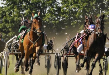 Grasbaanrace Hilversum