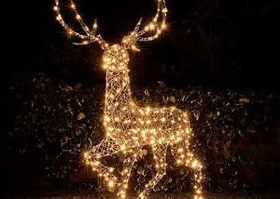 Lichtjes In De Meent: Een magische wandeling voor jong en oud!