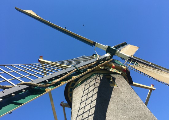 Nieuwe wieken voor molen De Onrust in Naardermeer Nieuwe wieken voor molen De Onrust in Naardermeer