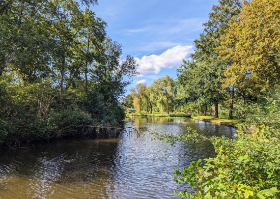 Vervangen oeverbescherming groengordel Hilversumse Meent