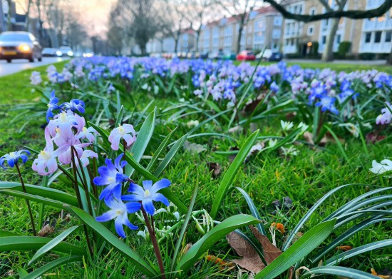 Groen in Beweging: De lente in!