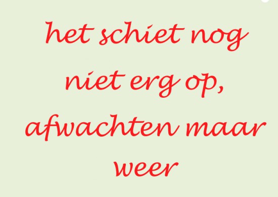 Senioren eetcafé Senioren eetcafé