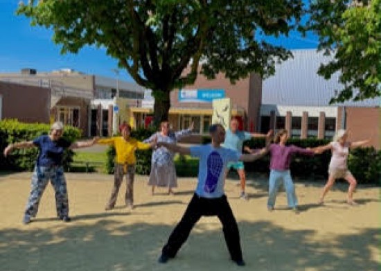 Tai chi in de buitenlucht Tai chi in de buitenlucht
